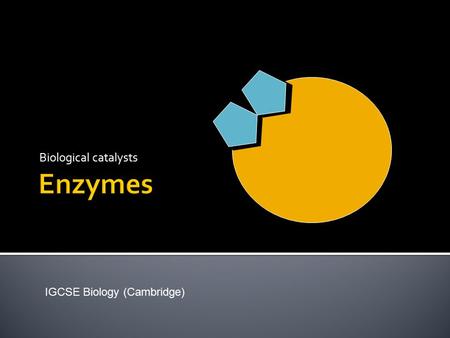 Biological catalysts IGCSE Biology (Cambridge).  A catalyst is a substance that speeds up the rate of a chemical reaction but is not itself changed by.