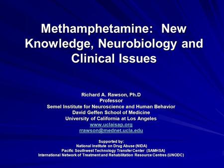 Methamphetamine: New Knowledge, Neurobiology and Clinical Issues