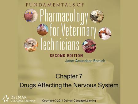 Chapter 7 Drugs Affecting the Nervous System