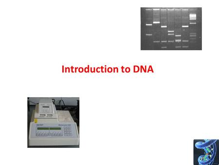 Introduction to DNA.