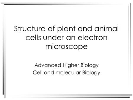 Structure of plant and animal cells under an electron microscope