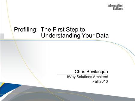 Profiling: The First Step to Understanding Your Data