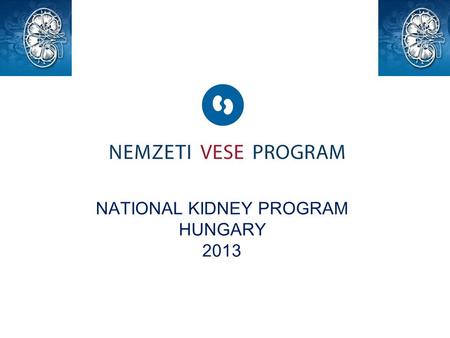 NATIONAL KIDNEY PROGRAM HUNGARY 2013. National Kidney Program, 2013 The National Kidey Program was launched in 2011 by the Providers of Nephrology Services,