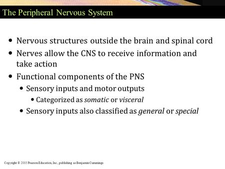 The Peripheral Nervous System