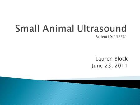 Lauren Block June 23, 2011.  “Brinkley” Keifer ◦ 10 years old, male, castrated long-haired dachshund ◦ Presented to the NCSU Small Animal Emergency service.