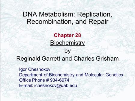 DNA Metabolism: Replication, Recombination, and Repair