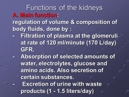 Functions of the kidneys