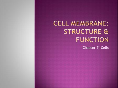 Chapter 7: Cells.  1) Regulates what goes in and out  (selectively permeable- some molecules too large or too strongly charged to cross while others.