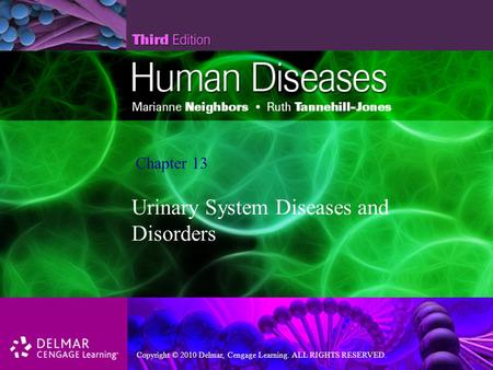 Urinary System Diseases and Disorders