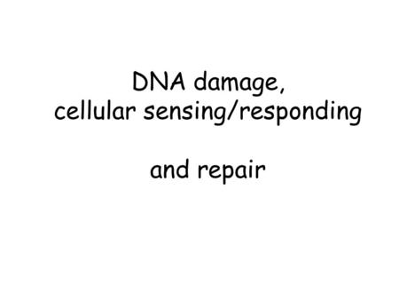 DNA damage, cellular sensing/responding and repair