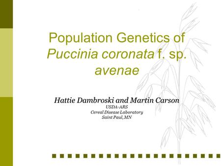 Population Genetics of Puccinia coronata f. sp. avenae Hattie Dambroski and Martin Carson USDA-ARS Cereal Disease Laboratory Saint Paul, MN.