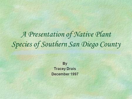 A Presentation of Native Plant Species of Southern San Diego County By Tracey Drais December 1997.