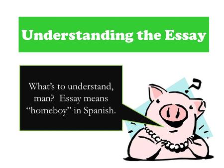 Understanding the Essay What’s to understand, man? Essay means “homeboy” in Spanish.