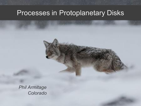 Processes in Protoplanetary Disks