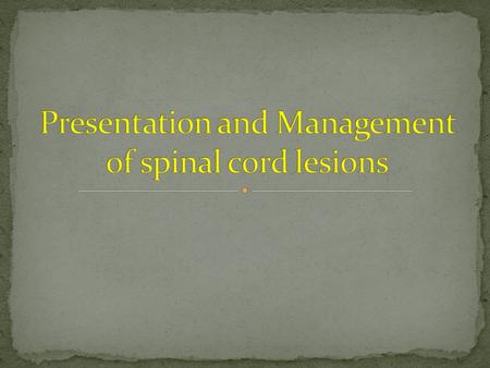 Bones spinal cord 33 vertebrae 7 cervical, 12 thoracic, 5 lumbar, and 5 sacral vertebrae 4 fused coccygeal 31 bilaterally paired spinal nerves 8 cervical.