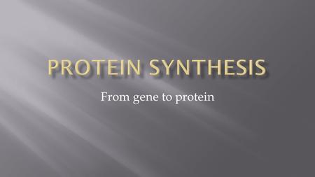 From gene to protein. DNA:nucleotides are the monomers Proteins: amino acids are the monomers DNA:in the nucleus Proteins:synthesized in cytoplasm.