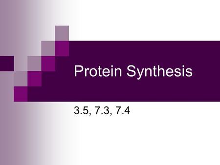 Protein Synthesis 3.5, 7.3, 7.4. Remember Gregor Mendel? Mendel’s experiments with garden peas led to the foundations of genetics Hypothesized that characteristics.