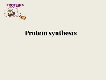 Protein synthesis.