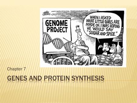 Genes and Protein Synthesis