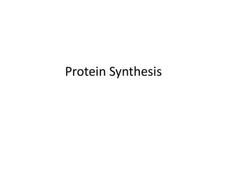 Protein Synthesis.