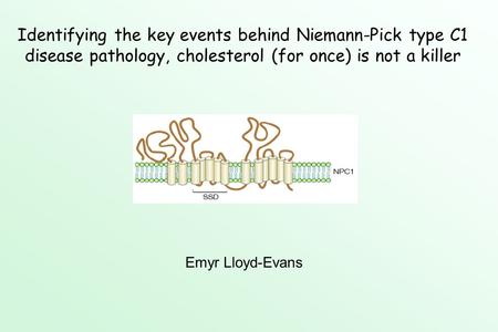 Identifying the key events behind Niemann-Pick type C1 disease pathology, cholesterol (for once) is not a killer Emyr Lloyd-Evans.