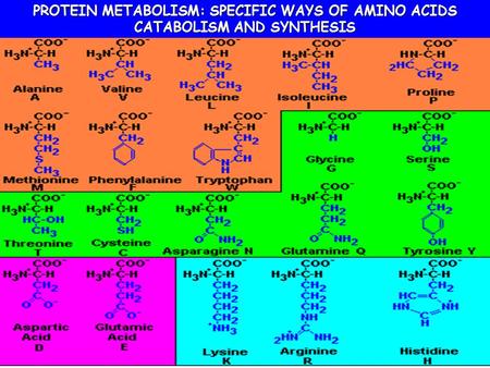 SPECIFIC WAYS OF AMINO ACID CATABOLISM