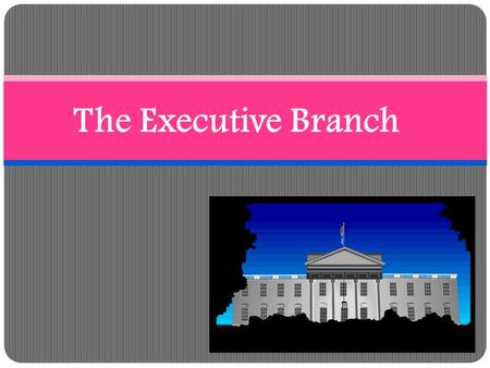 The Executive Branch.