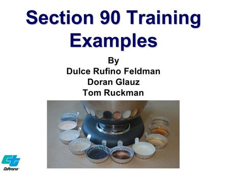 Section 90 Training Examples By Dulce Rufino Feldman Doran Glauz Tom Ruckman.