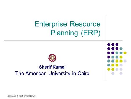 Enterprise Resource Planning (ERP)