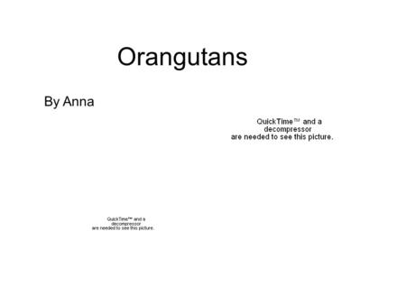 By Anna Orangutans. There are two types of orangutans,the Sumatran and Bornean.Adult males can weigh between 100 and 200 pounds.Adult females can weigh.