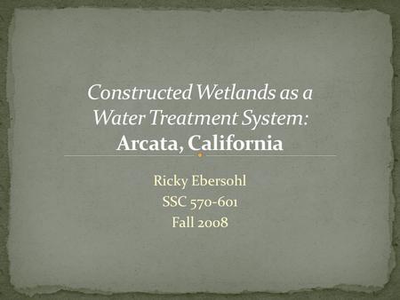 Ricky Ebersohl SSC 570-601 Fall 2008. Wetlands serve to reduce and remove toxins from the environment Wetlands provide a buffer for flood control and.