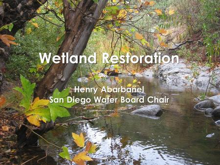 Wetland Restoration Henry Abarbanel San Diego Water Board Chair.