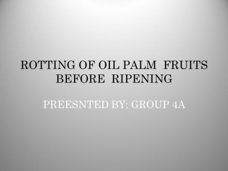 ROTTING OF OIL PALM FRUITS BEFORE RIPENING