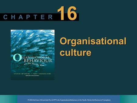 Organisational culture