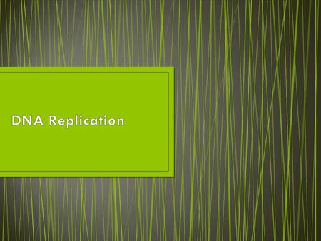 DNA needs to replicate in order for chromosomes to be copied – giving identical genetic code to every new cell that’s made.