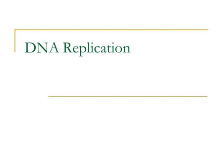 DNA Replication.