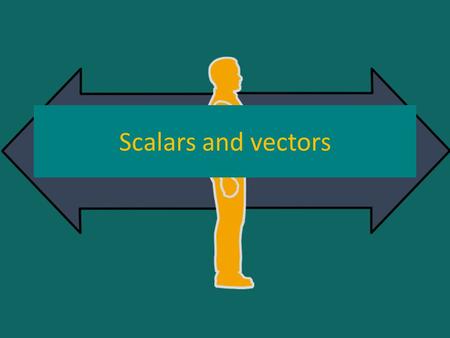 Scalars and vectors.