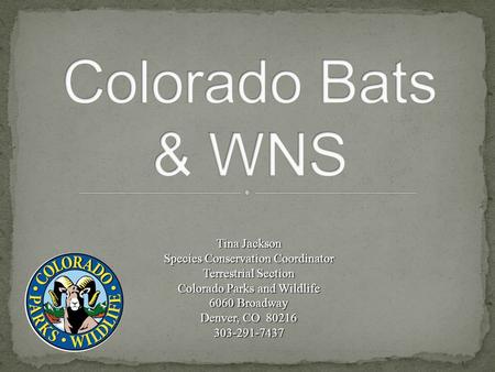 Tina Jackson Species Conservation Coordinator Terrestrial Section Colorado Parks and Wildlife 6060 Broadway Denver, CO 80216 303-291-7437.