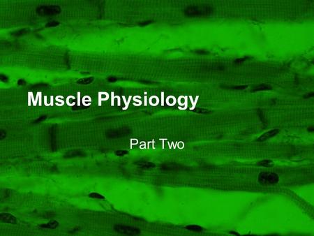 Muscle Physiology Part Two. Lecture Outline Muscle Function Muscle Characteristics Muscle Tissue Types Skeletal Muscle –General Functions of Skeletal.