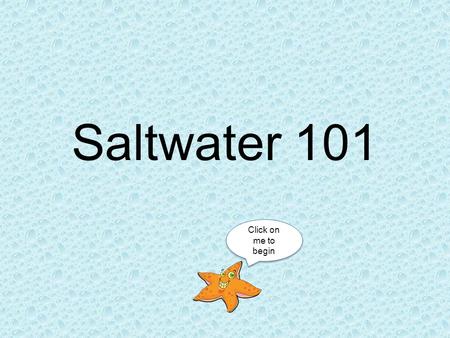 Saltwater 101 Click on me to begin Everything you need to know to start your saltwater adventure! Starter Fish Setting Up Your Tank Setting Up Your Tank.