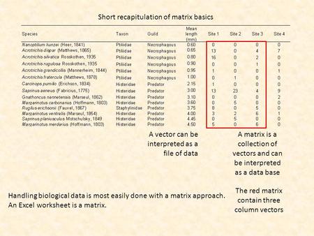 A vector can be interpreted as a file of data A matrix is a collection of vectors and can be interpreted as a data base The red matrix contain three column.