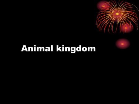 Animal kingdom.