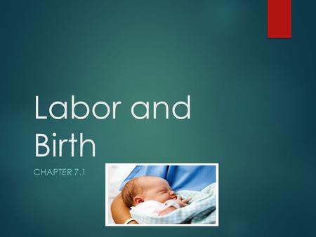 Labor and Birth Chapter 7.1.