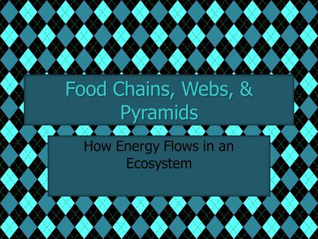 Food Chains, Webs, & Pyramids