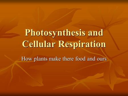 Photosynthesis and Cellular Respiration