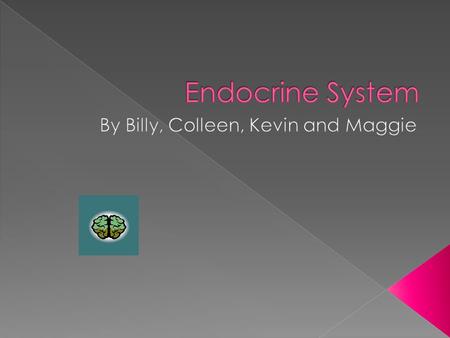  Controls internal conditions, growth, development, and reproduction  Contains glands and organs that produces a chemicals and releases it into the.