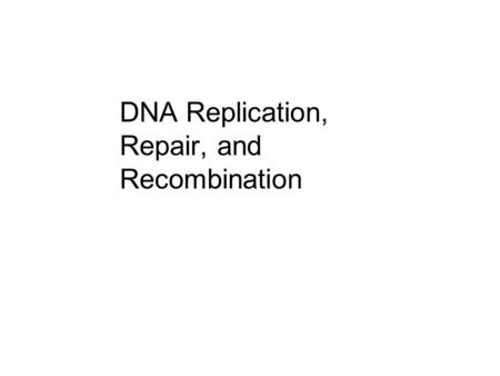 DNA Replication, Repair, and Recombination