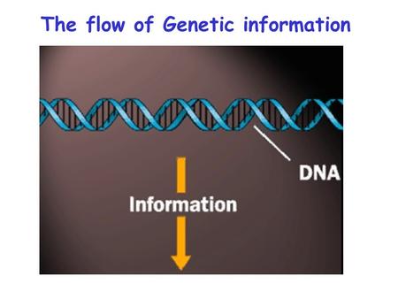 The flow of Genetic information