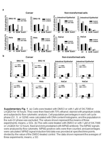 Supplementary Fig. 1. (a) Cells were treated with DMSO or with 1 µM of SK-7068 or LAQ824 for 18 hours. They were then fixed with 70% ethanol, stained with.