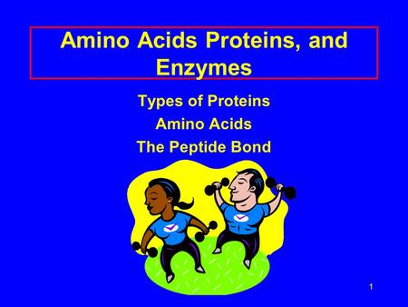 Amino Acids Proteins, and Enzymes